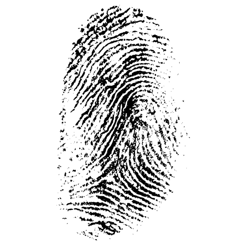 fingerprint 257037 1280