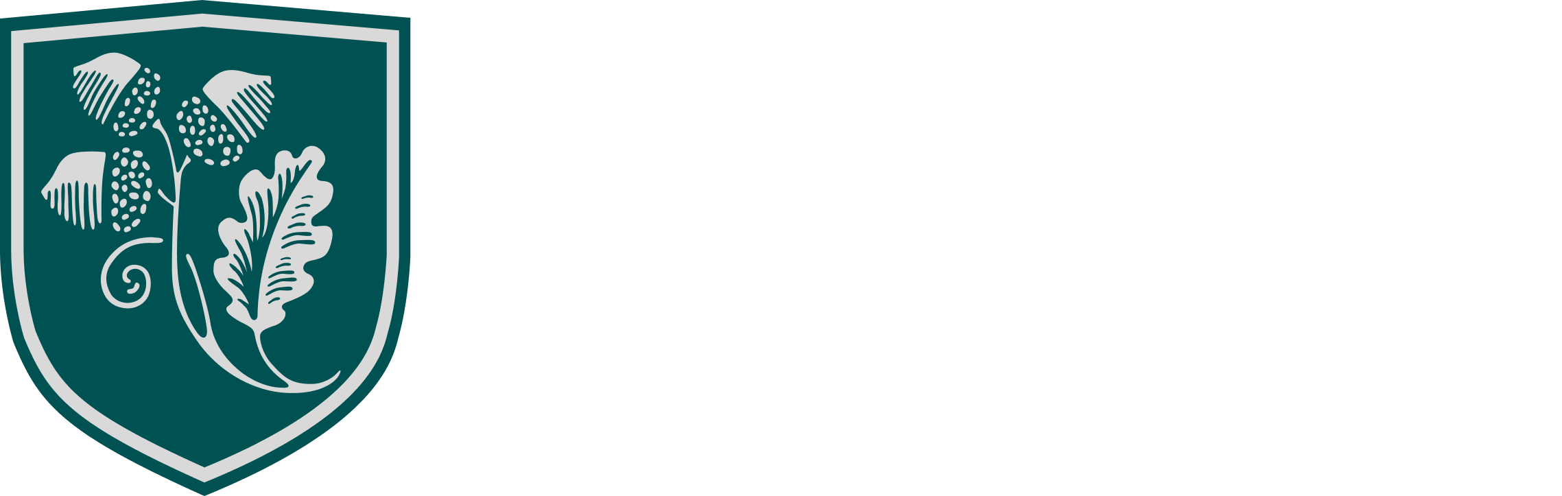 logo academica dual diploma blanc